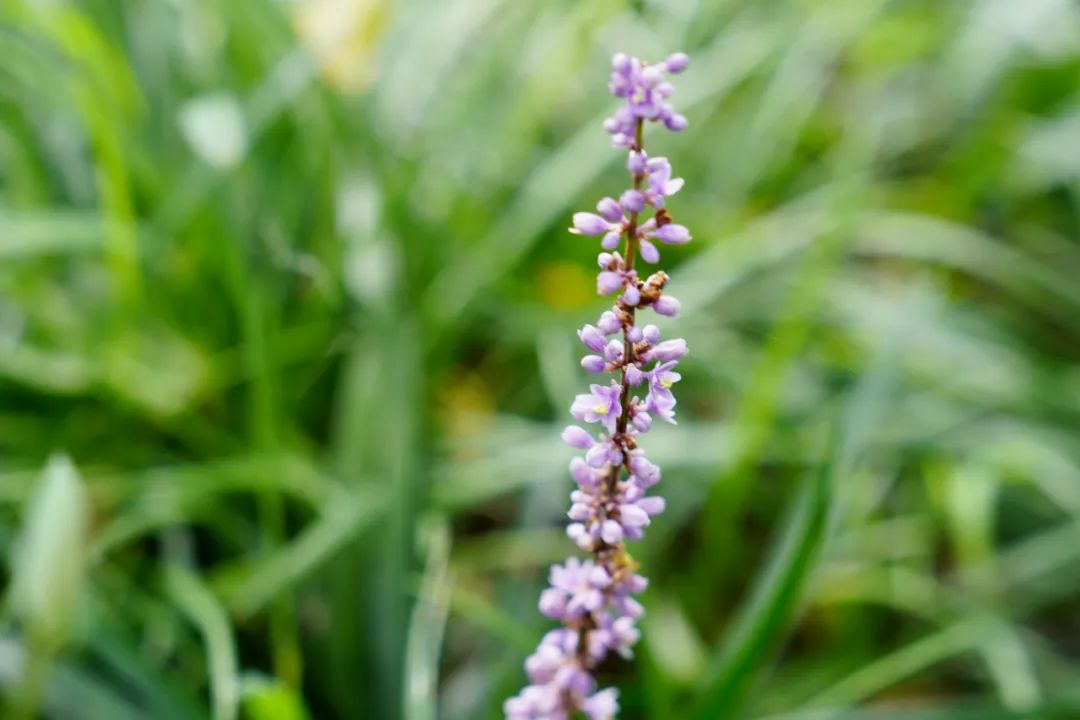 1673092852772760.jpg 微信圖片_20230107195907.jpg