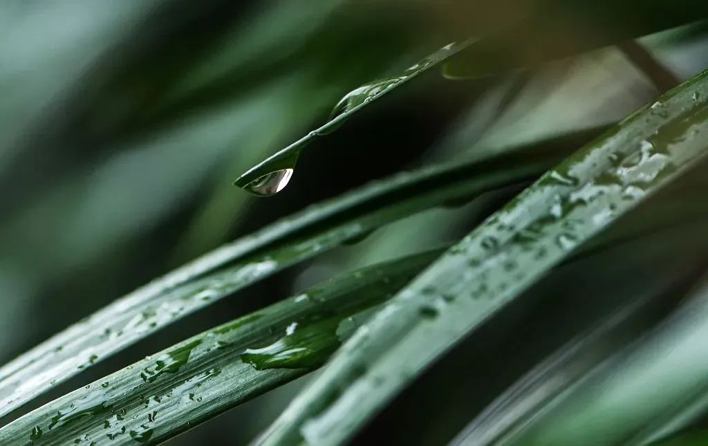 1673092859103828.jpg 微信圖片_20230107195837.jpg