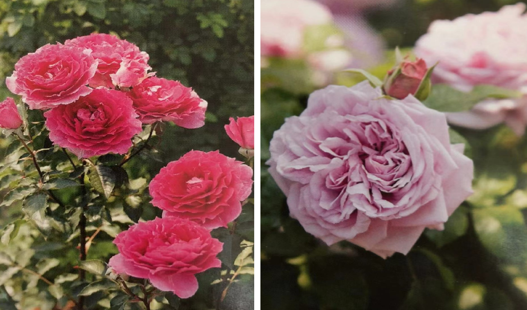 1673093025903948.png 微信圖片_20230107200241.png