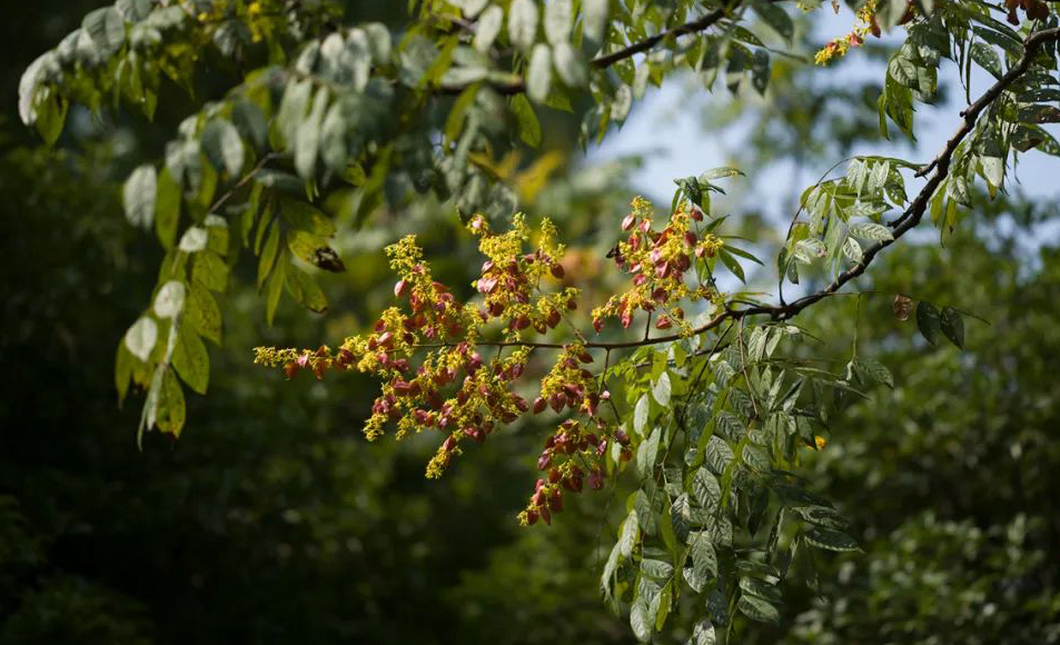 1673093245927890.jpg 微信圖片_20230107200548.jpg