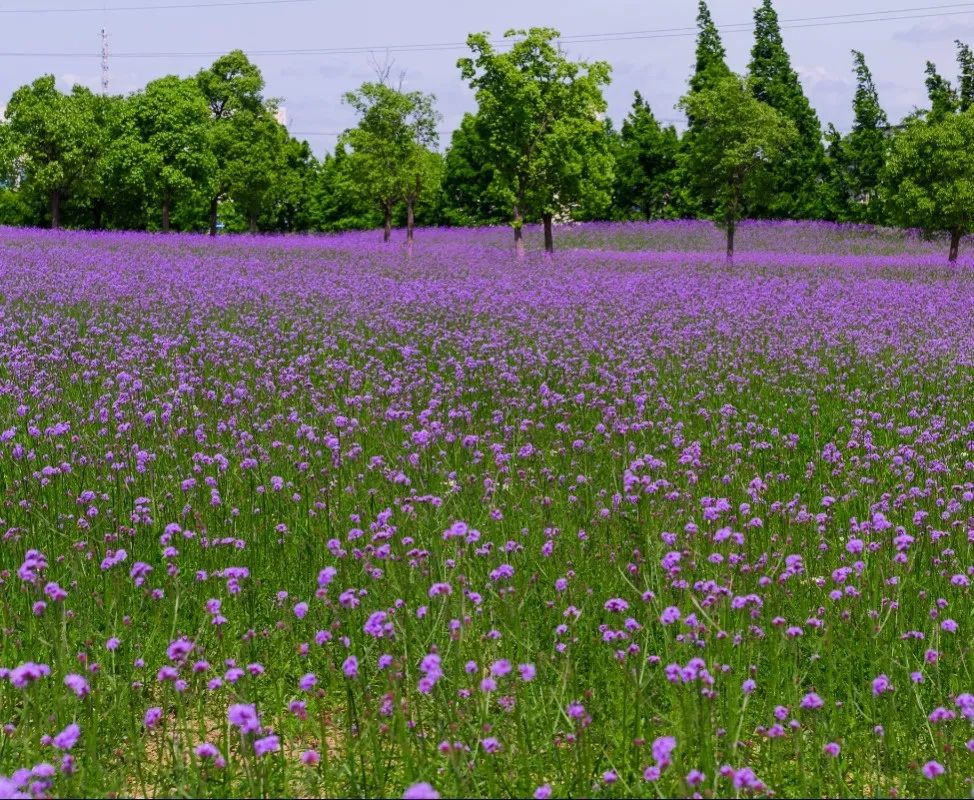 1673156295579982.jpg 微信圖片_20221023222556.jpg