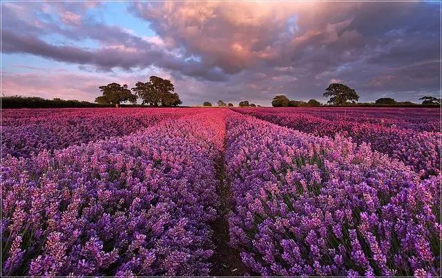 1673156314229004.jpg 微信圖片_20221023222837.jpg