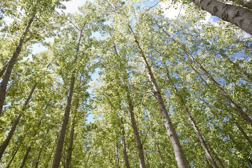 1673156440874755.jpg 微信圖片_20230108133956.jpg