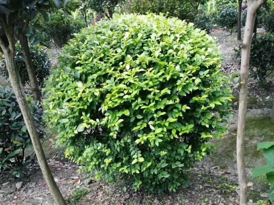 1673156604535206.jpg 微信圖片_20230108134304.jpg