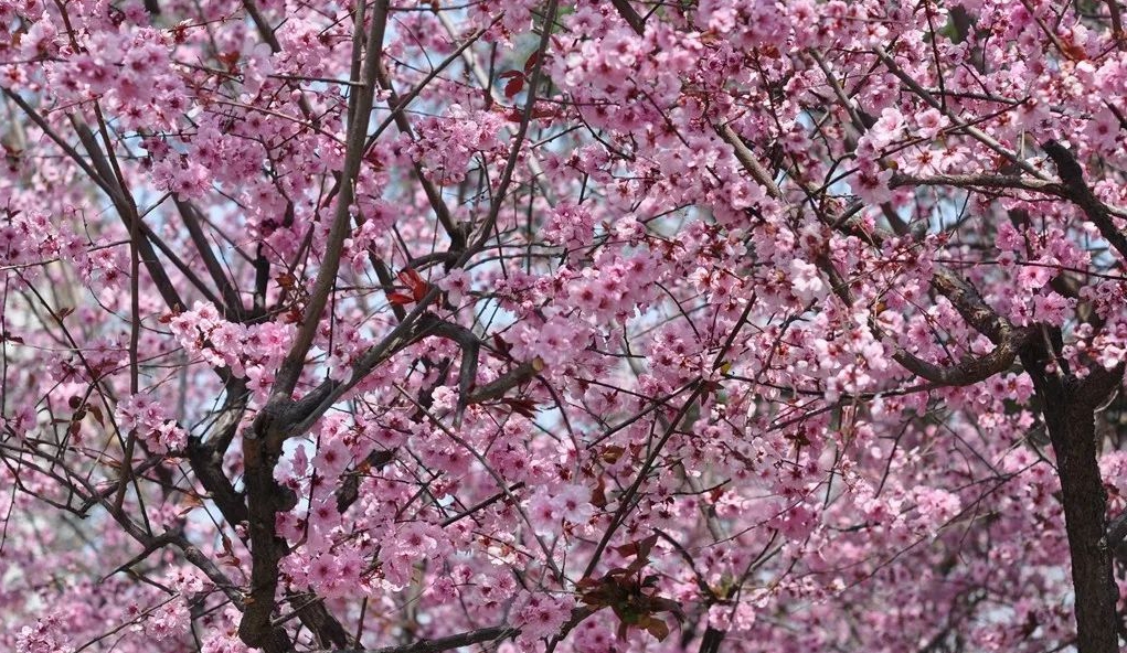 1673157437498362.jpg 微信圖片_20230108135525.jpg