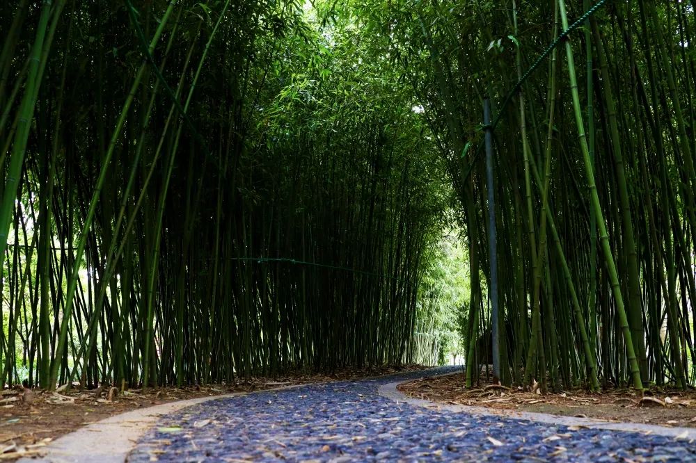 1673157656539067.jpg 微信圖片_20230107163316.jpg