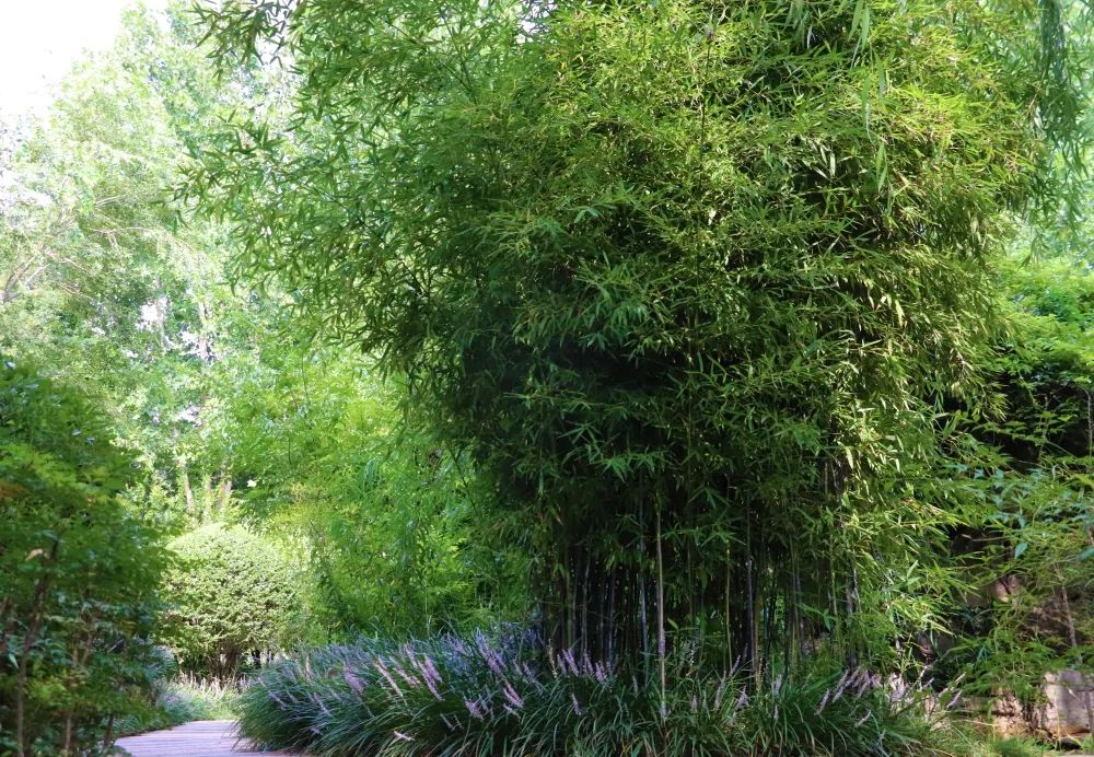 1673157671858740.jpg 微信圖片_20230107163341.jpg