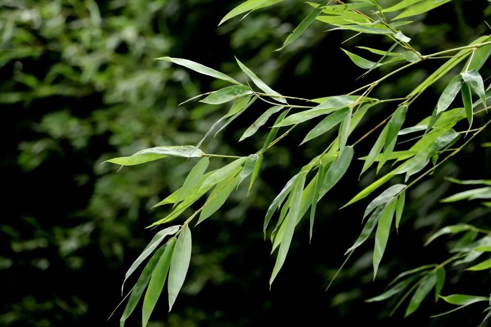 1673157679657184.jpg 微信圖片_20230107163411.jpg