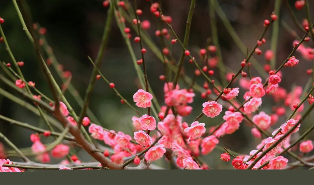 1673158368291234.jpg 微信圖片_20230108124140.jpg