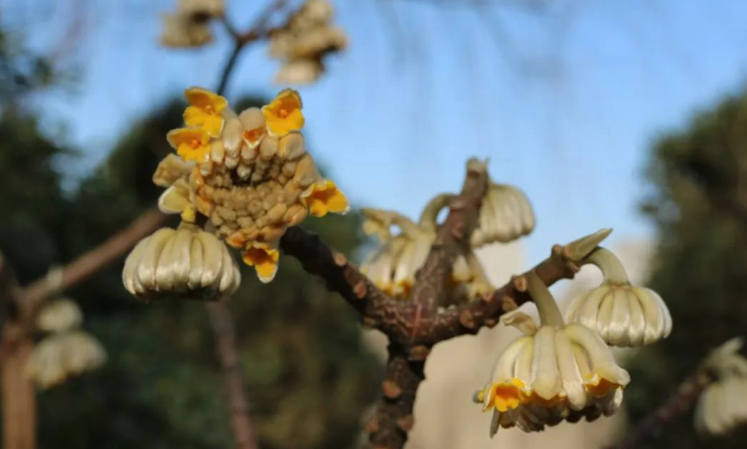 1673158515615451.jpg 微信圖片_20230108141350.jpg