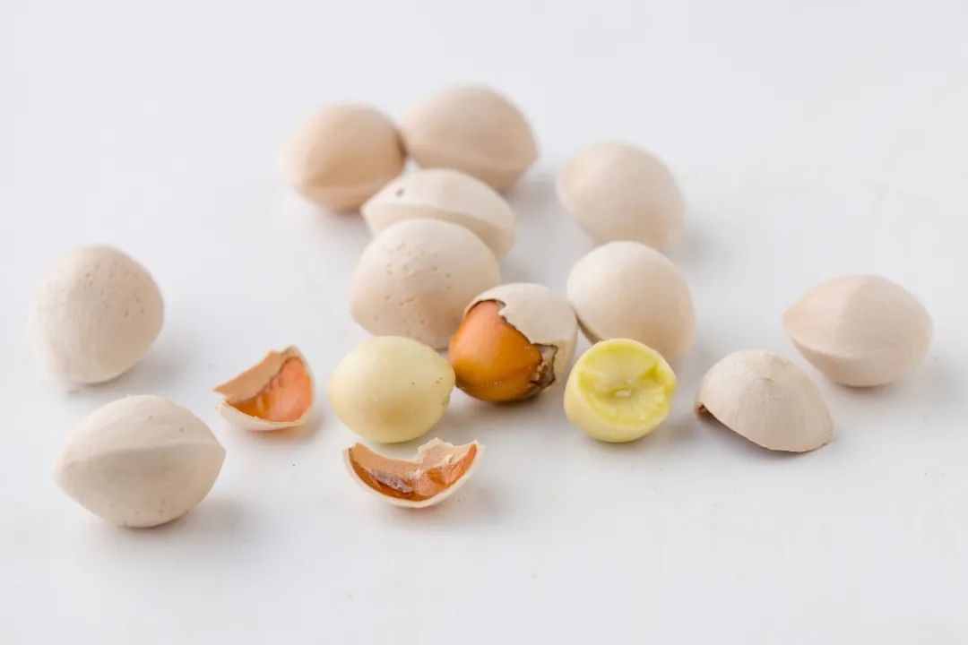 1673524590726443.jpg 微信圖片_20221126001438.jpg