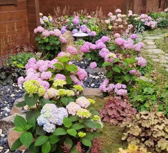 1673524698266512.jpg 微信圖片_20230112195735.jpg