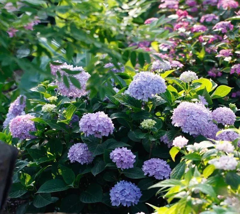 1673524707260689.jpg 微信圖片_20230112195738.jpg