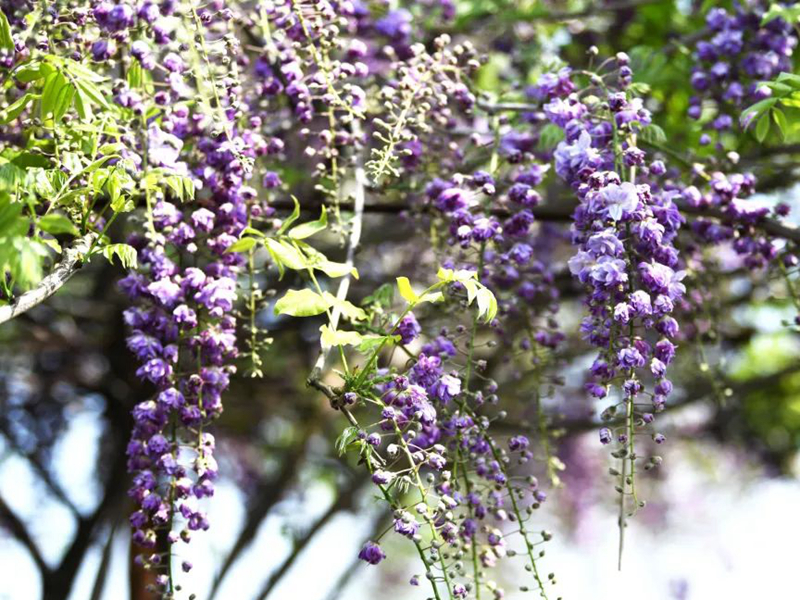 1673524949402950.jpg 微信圖片_20220818221249.jpg