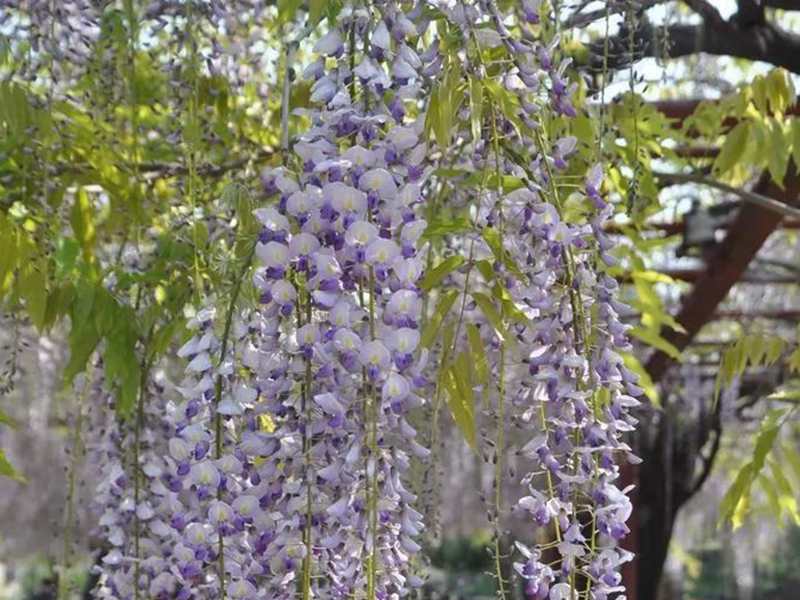 1673524962772312.jpg 微信圖片_20220818221324.jpg