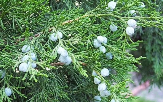 1673525220463783.jpg 微信圖片_20230107193628.jpg