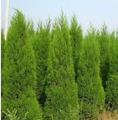 1673525227801670.jpg 微信圖片_20230107194007.jpg