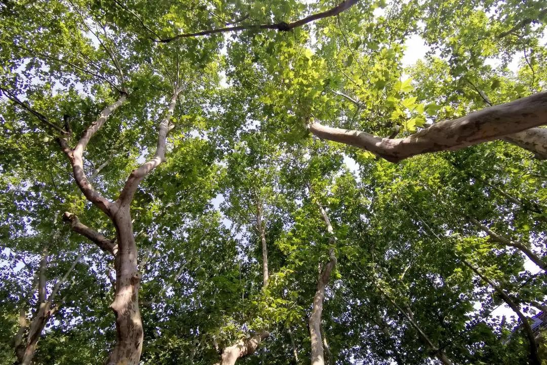 1673525792161266.jpg 微信圖片_20230112201613.jpg