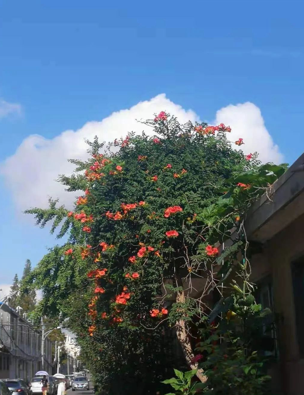 1673824977594666.jpg 微信圖片_20230116072123.jpg