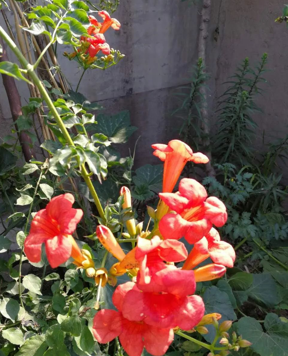 1673824988348533.jpg 微信圖片_20230116072128.jpg