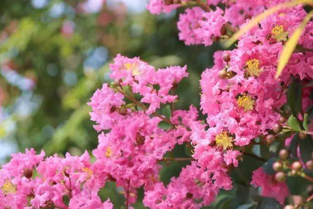 1673825208889406.png 微信圖片_20230112201806.png