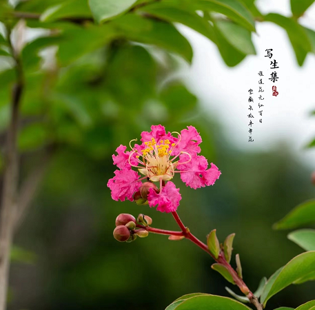 1673825221708083.png 微信圖片_20230112201817.png