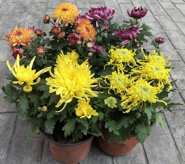 1673825921523020.jpg 微信圖片_20230108151715.jpg