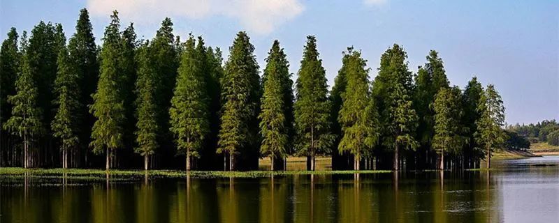 1675200192399801.jpg 微信圖片_20230201052046.jpg