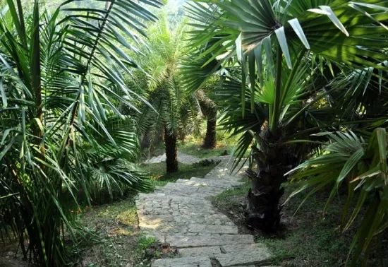 1675200379904562.jpg 微信圖片_20221029111918.jpg