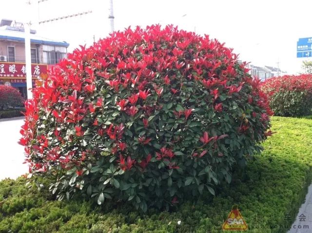 1675491786409833.jpg 微信圖片_20230204142205.jpg