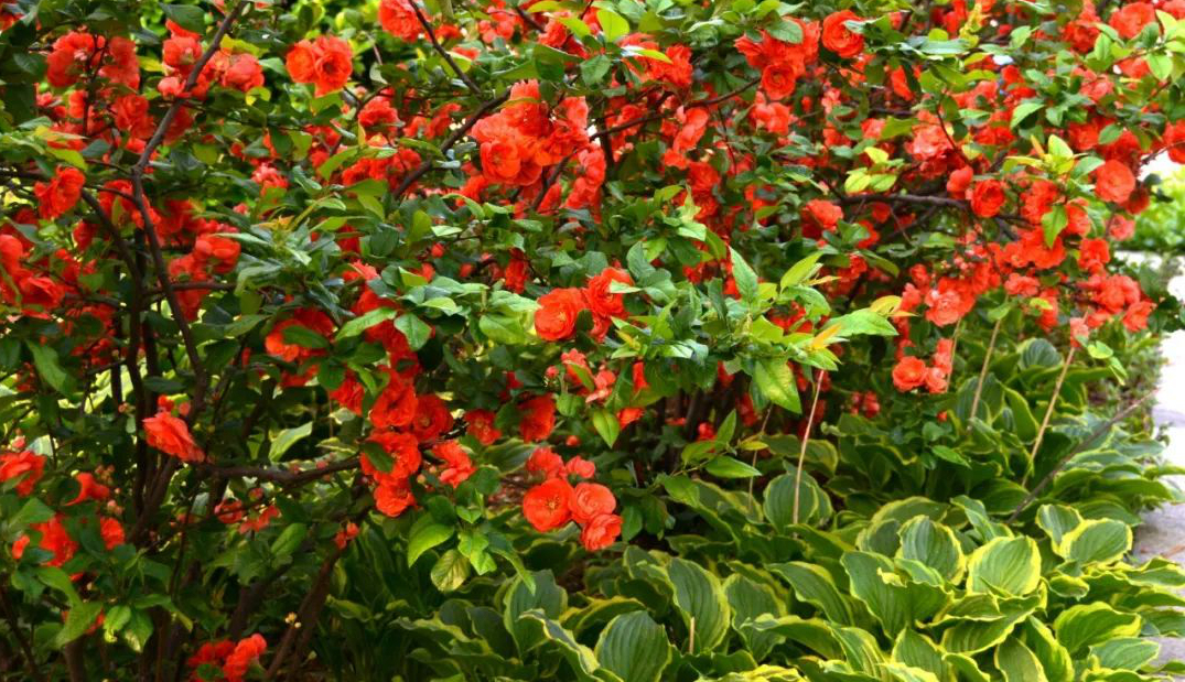 1675492163810432.jpg 微信圖片_20230204142709.jpg