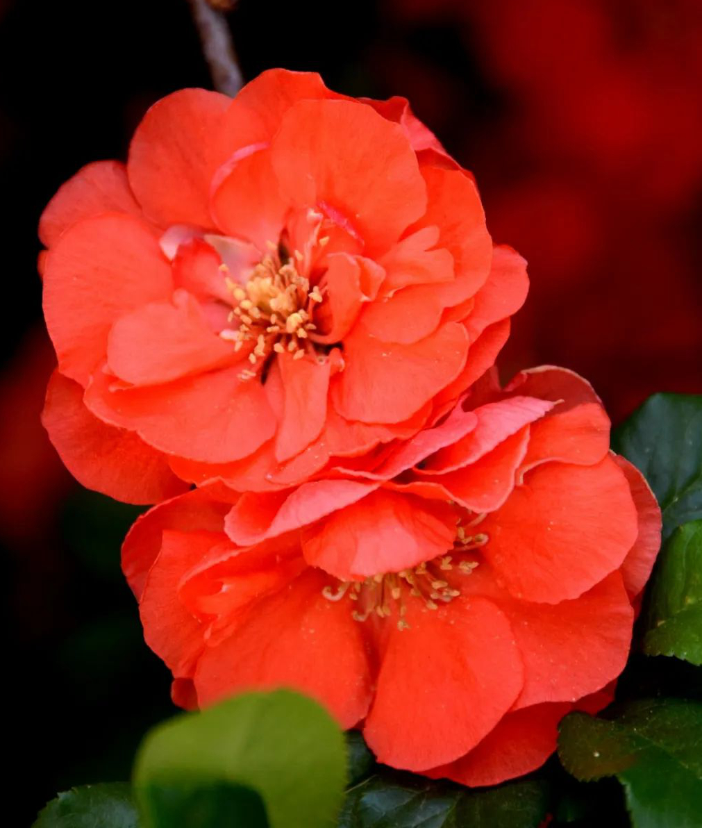 1675492183501052.jpg 微信圖片_20230204142741.jpg