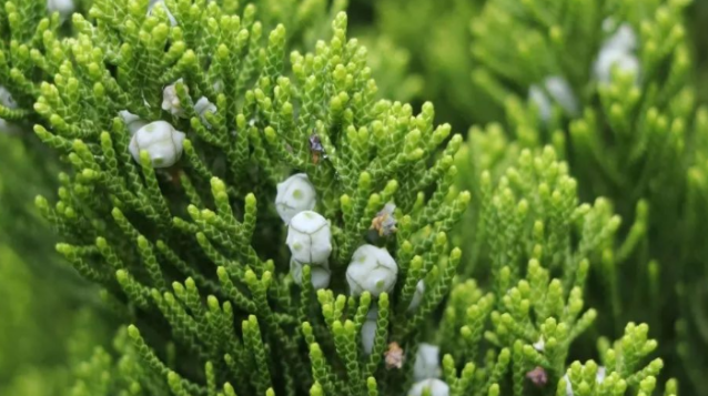 1675492447987875.png 微信圖片_20230204143139.png