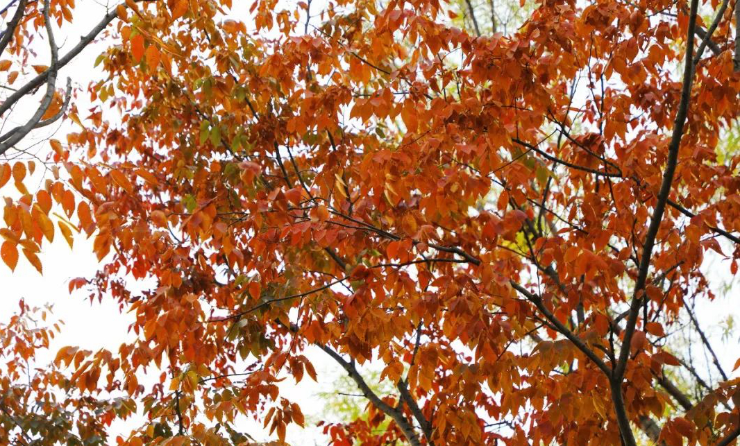 1676558391819468.jpg 微信圖片_20230115185228.jpg