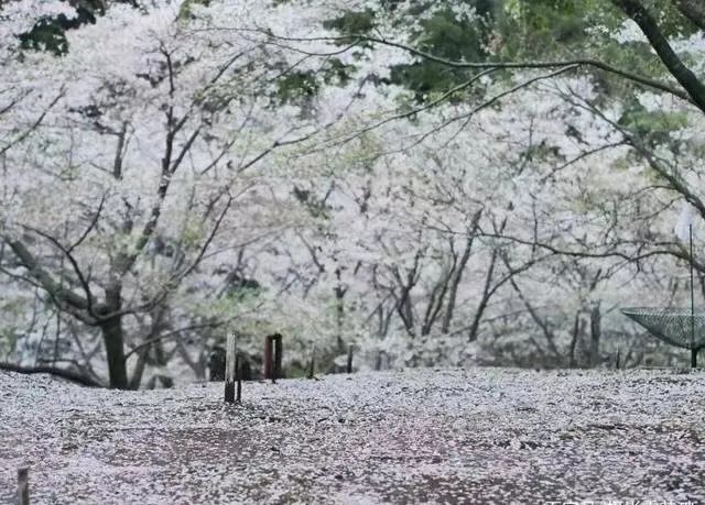 1676580995488929.jpg 微信圖片_20221101160159.jpg