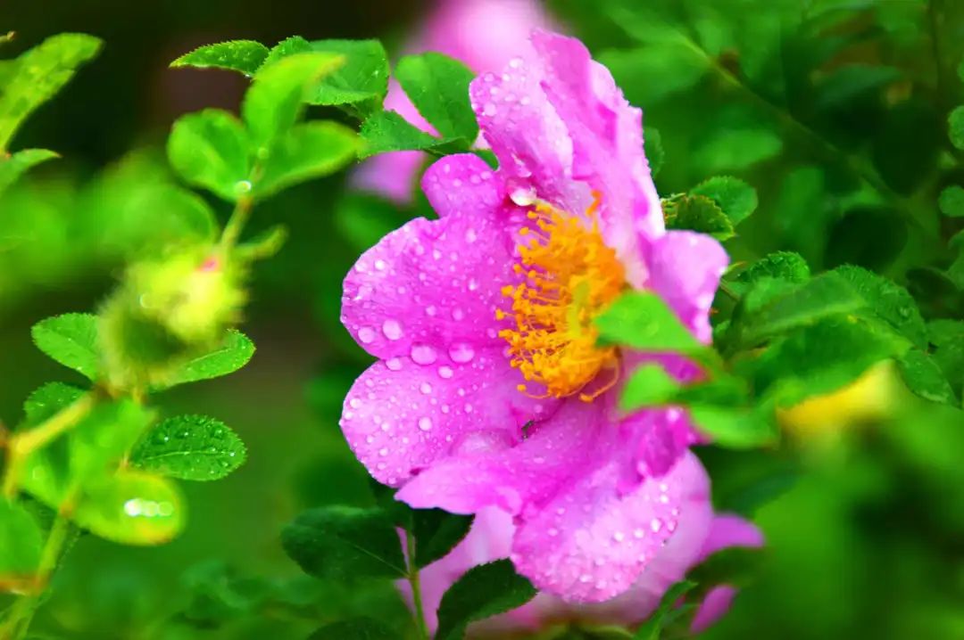 1676581237423284.jpg 微信圖片_20230108112104.jpg