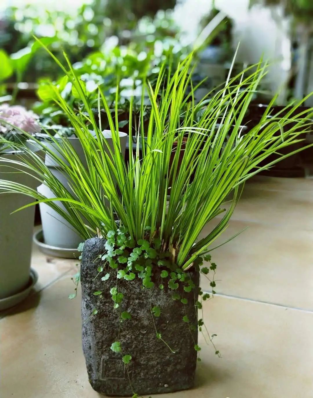 1676581405286364.jpg 微信圖片_20230217050216.jpg