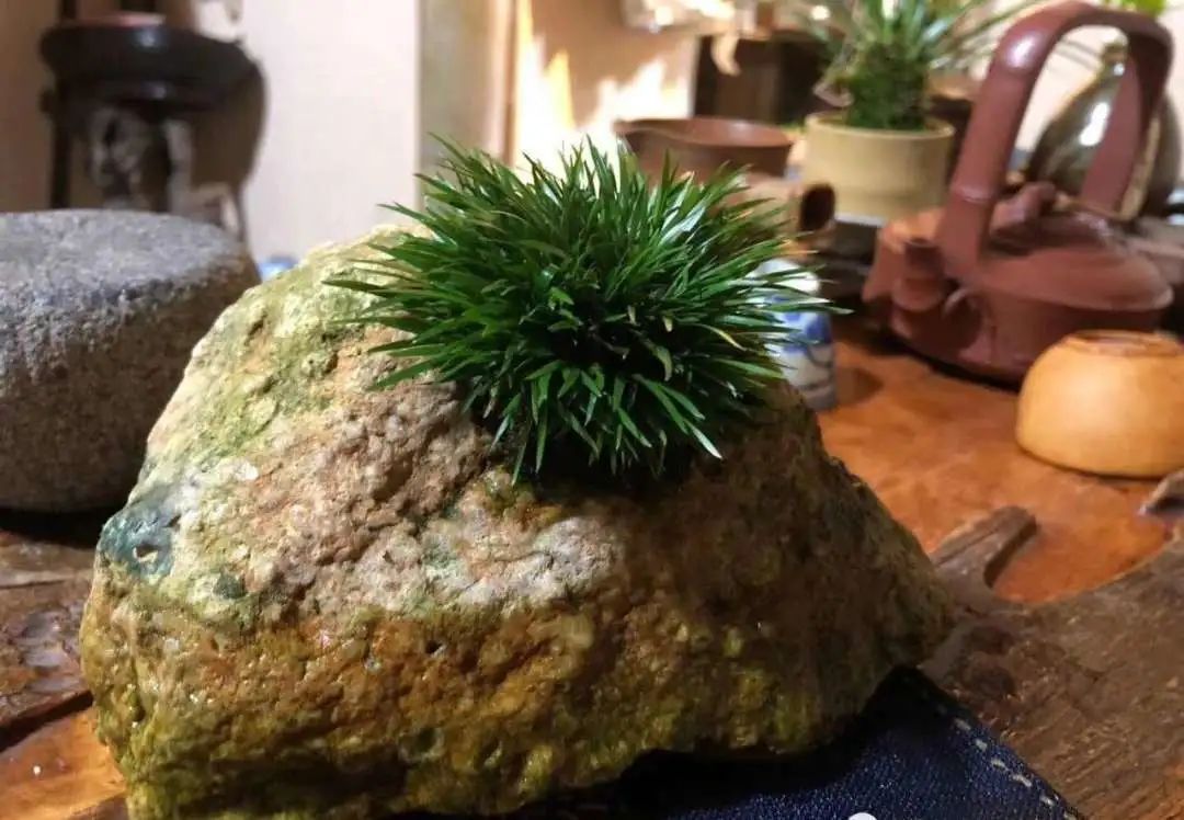 1676581426835685.jpg 微信圖片_20230217050227.jpg