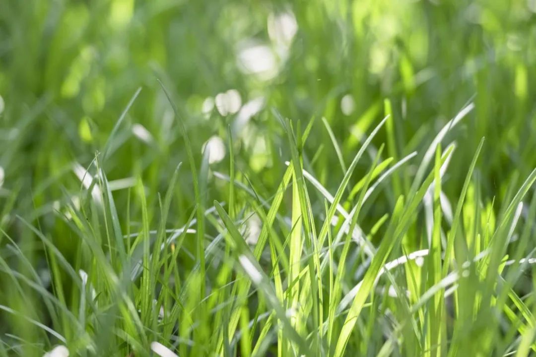 1676581830976911.jpg 微信圖片_20221023223724.jpg