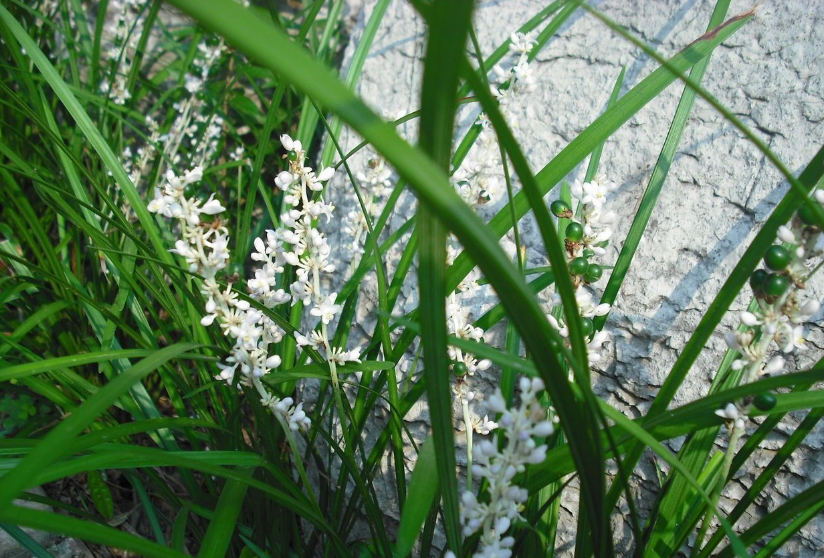 1676581840861748.png 微信圖片_20221105175437.png