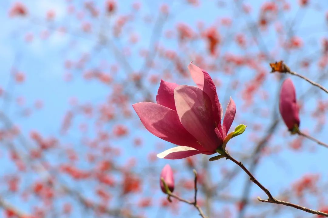 1676582664687565.jpg 微信圖片_20221125235203.jpg