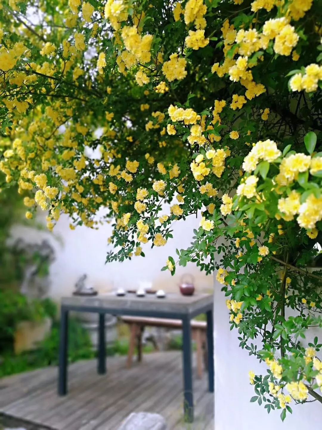 1676582901394841.jpg 微信圖片_20230110212117.jpg