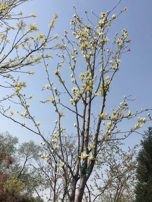 1676583131382999.jpg 微信圖片_20230113055156.jpg