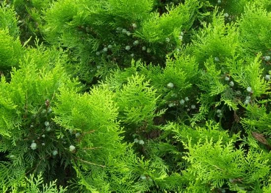 1676583272750046.jpg 微信圖片_20230107193612.jpg