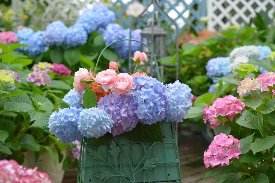 1676583743278381.jpg 微信圖片_20230112195732.jpg