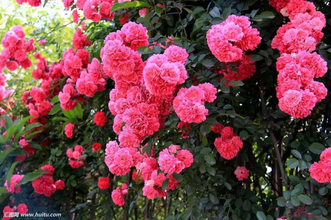 1676675468404502.jpg 微信圖片_20230108112138.jpg