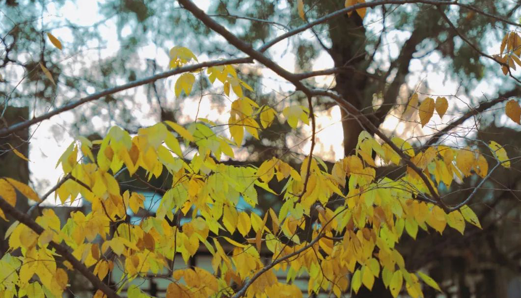 1676797277496309.jpg 微信圖片_20230115185213.jpg