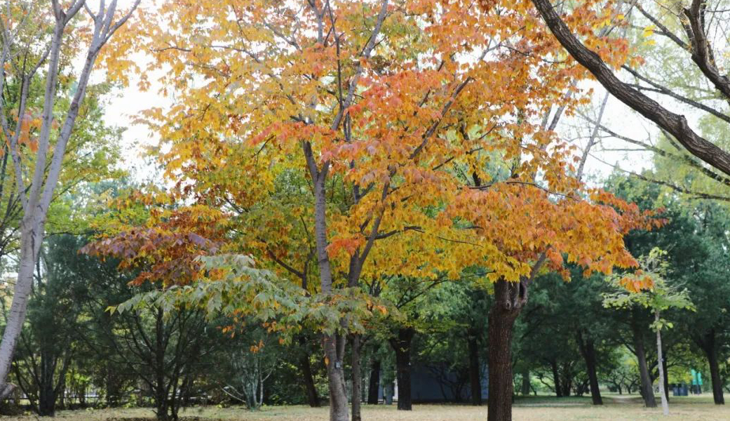 1676797286155377.jpg 微信圖片_20230115185225.jpg