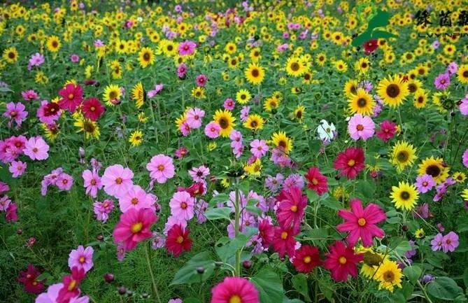 1676797373192562.jpg 微信圖片_20221101144949.jpg