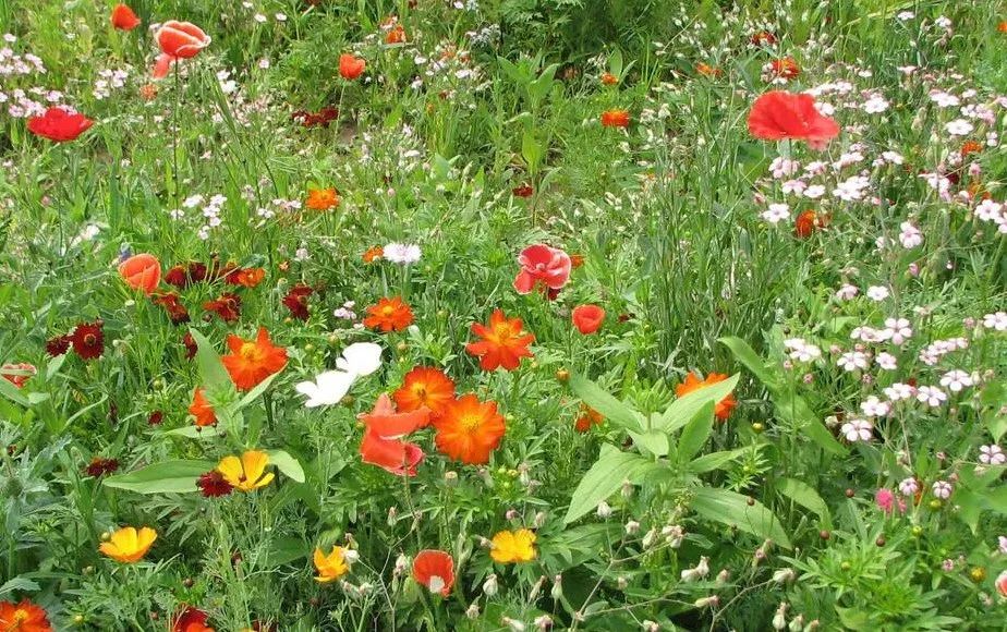 1676797385560024.jpg 微信圖片_20221101144956.jpg